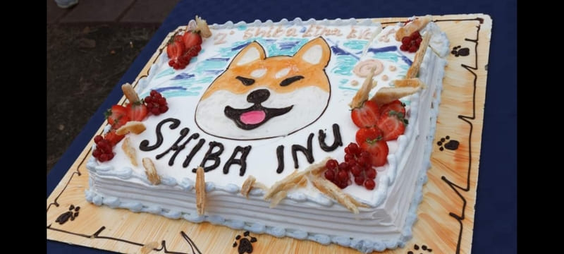 torta shiba